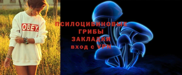 экстази Корсаков