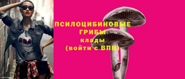 прущая мука Коряжма
