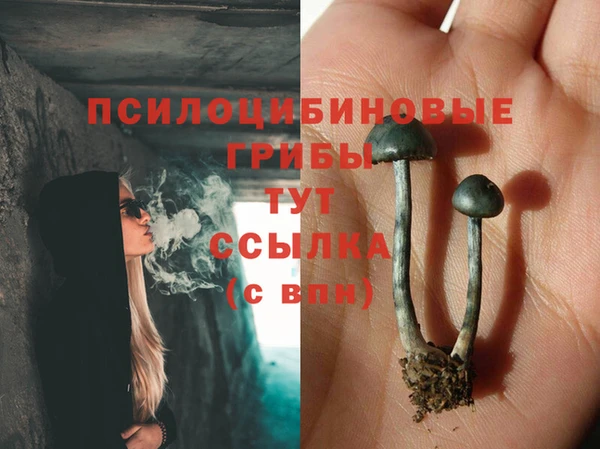 mdma Костерёво