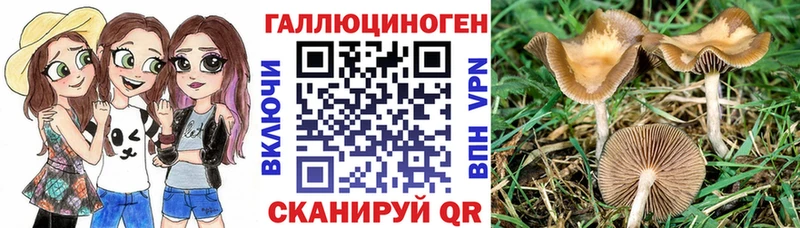 Купить закладки  Суоярви  Псилоцибиновые грибы Psilocybine cubensis 